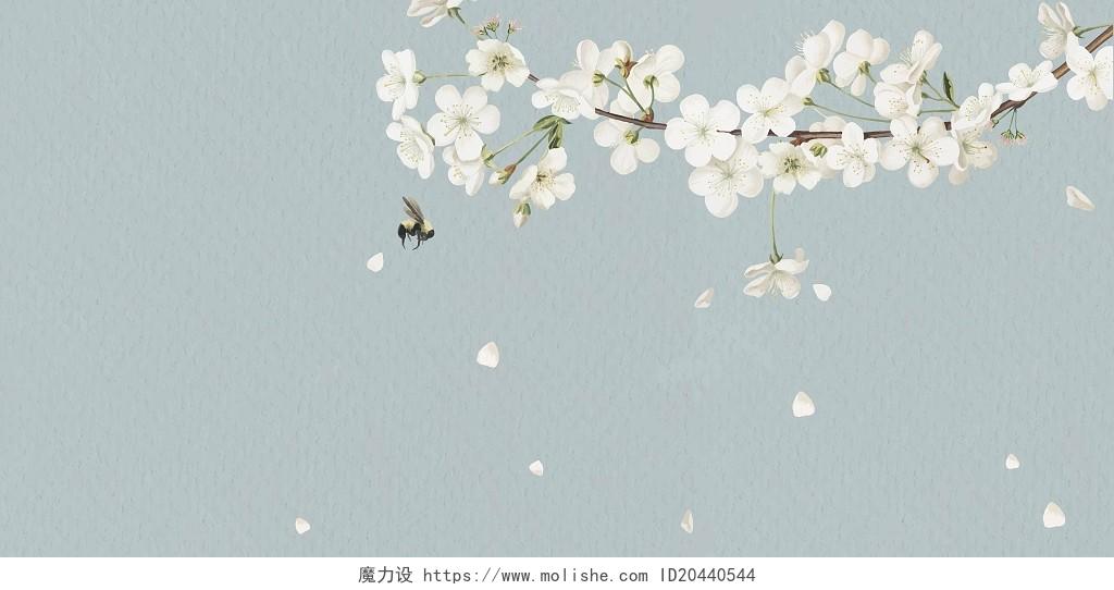 淡雅春天白色樱花树枝花卉鲜花展板背景